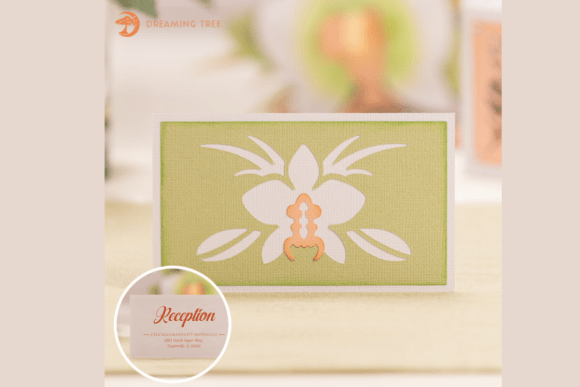 Download Orchid Information Card SVG - Information Collection